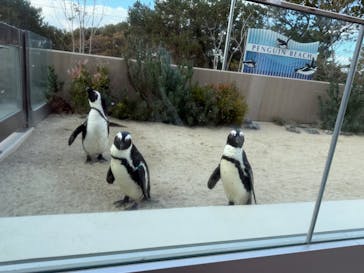 マリンワールド海の中道に投稿された画像（2024/12/22）