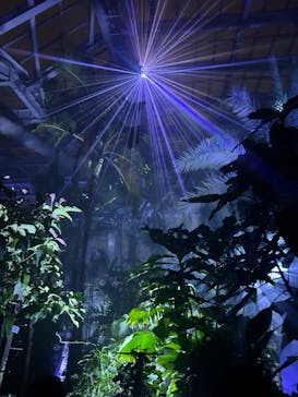 京都府立植物園　LIGHT CYCLES KYOTOに投稿された画像（2024/12/22）