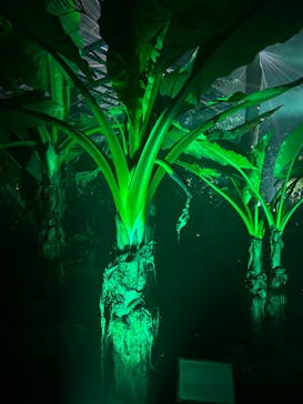 京都府立植物園　LIGHT CYCLES KYOTOに投稿された画像（2024/12/22）