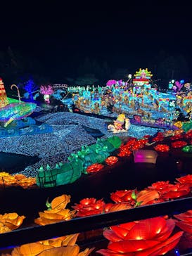 伊豆高原グランイルミに投稿された画像（2024/12/22）