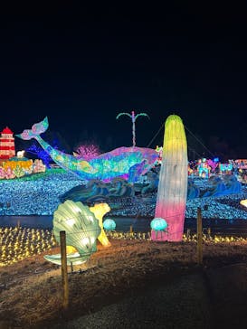 伊豆高原グランイルミに投稿された画像（2024/12/22）