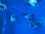サンシャイン水族館に投稿された画像（2024/12/22）