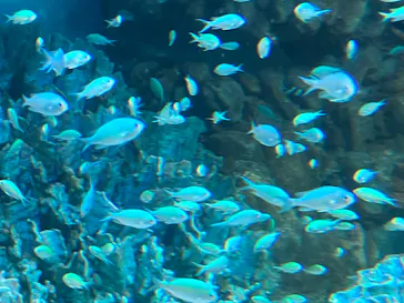 サンシャイン水族館に投稿された画像（2024/12/22）