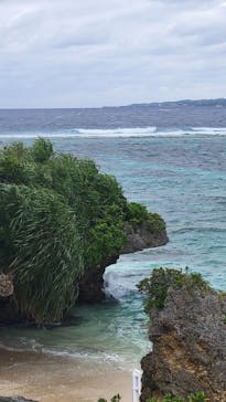 沖縄美ら海水族館に投稿された画像（2024/12/22）