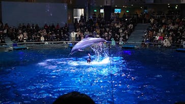 マクセル アクアパーク品川に投稿された画像（2024/12/22）