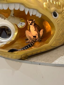 アニタッチららぽーと名古屋みなとアクルスに投稿された画像（2024/12/22）