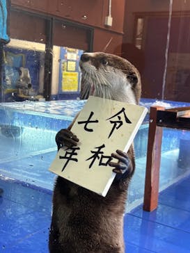 ゼロ距離水族館 伊勢シーパラダイスに投稿された画像（2024/12/22）
