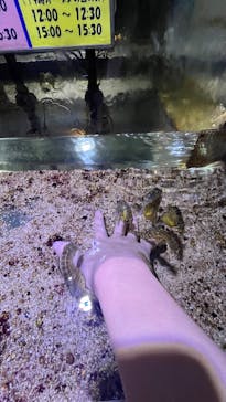 ゼロ距離水族館 伊勢シーパラダイスに投稿された画像（2024/12/22）