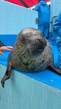 ゼロ距離水族館 伊勢シーパラダイスに投稿された画像（2024/12/22）