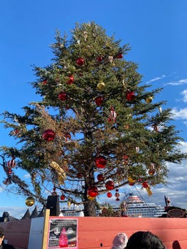 Christmas Market in 横浜赤レンガ倉庫 2025に投稿された画像（2024/12/22）