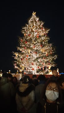 Christmas Market in 横浜赤レンガ倉庫 2025に投稿された画像（2024/12/22）