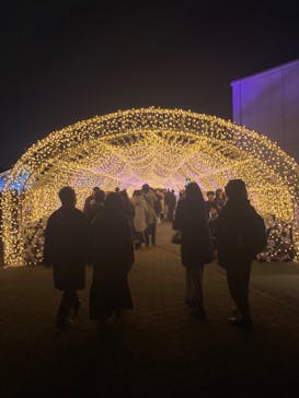 東京メガイルミに投稿された画像（2024/12/22）