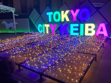 東京メガイルミに投稿された画像（2024/12/22）