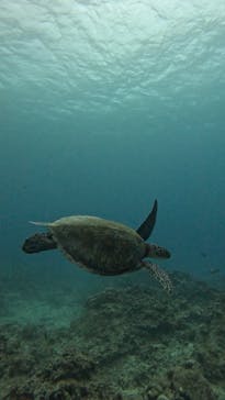  マリンショップHAPPYに投稿された画像（2024/12/22）