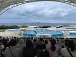 沖縄美ら海水族館（館内体験）に投稿された画像（2024/12/22）