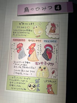 特別展「鳥 ～ゲノム解析が解き明かす新しい鳥類の系統～」国立科学博物館に投稿された画像（2024/12/22）