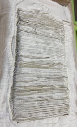 Tokyo Soba Kitchen -東京蕎麦キッチン-に投稿された画像（2024/12/22）