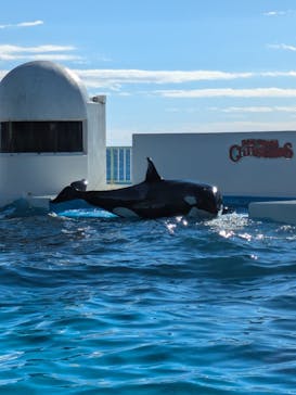 鴨川シーワールドに投稿された画像（2024/12/22）