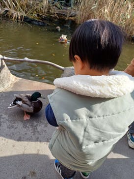 神戸どうぶつ王国に投稿された画像（2024/12/22）