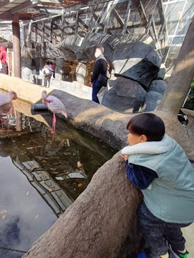 神戸どうぶつ王国に投稿された画像（2024/12/22）