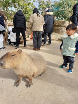 神戸どうぶつ王国に投稿された画像（2024/12/22）