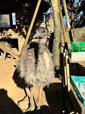 伊豆シャボテン動物公園に投稿された画像（2024/12/22）