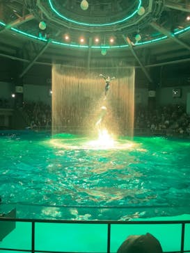 マクセル アクアパーク品川に投稿された画像（2024/12/22）