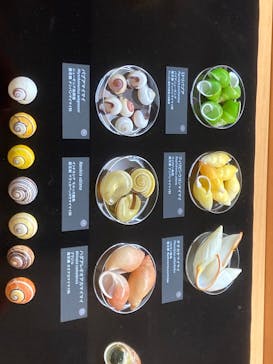 国立科学博物館に投稿された画像（2024/12/22）