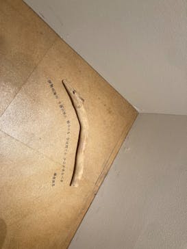 国立科学博物館に投稿された画像（2024/12/22）