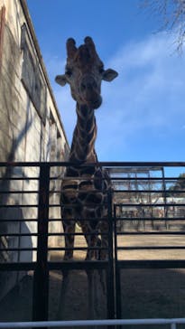宇都宮動物園に投稿された画像（2024/12/22）