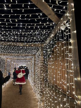 Christmas Market in 横浜赤レンガ倉庫 2025に投稿された画像（2024/12/22）