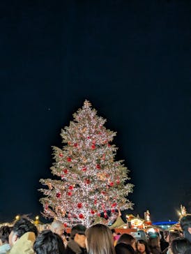 Christmas Market in 横浜赤レンガ倉庫 2025に投稿された画像（2024/12/22）