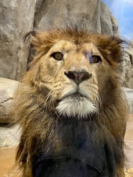 よこはま動物園ズーラシアに投稿された画像（2024/12/22）