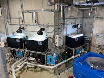 世界淡水魚園水族館　アクア・トトぎふに投稿された画像（2024/12/22）