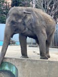 宇都宮動物園に投稿された画像（2024/12/22）