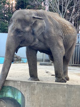 宇都宮動物園に投稿された画像（2024/12/22）