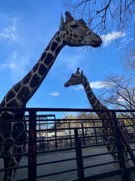 宇都宮動物園に投稿された画像（2024/12/22）