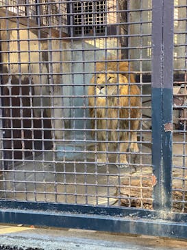 宇都宮動物園に投稿された画像（2024/12/22）