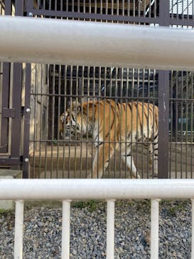 宇都宮動物園に投稿された画像（2024/12/22）