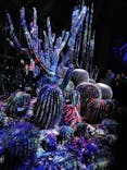 京都府立植物園　LIGHT CYCLES KYOTOに投稿された画像（2024/12/22）