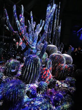 京都府立植物園　LIGHT CYCLES KYOTOに投稿された画像（2024/12/22）