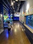 竹島水族館に投稿された画像（2024/12/22）