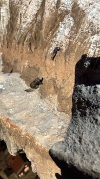 ミニチュアミュージアム スモールワールズに投稿された画像（2024/12/22）