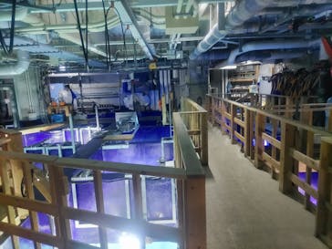 サンシャイン水族館に投稿された画像（2024/12/22）