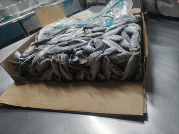 サンシャイン水族館に投稿された画像（2024/12/22）