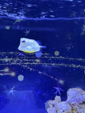 マクセル アクアパーク品川に投稿された画像（2024/12/22）