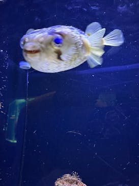 マクセル アクアパーク品川に投稿された画像（2024/12/22）