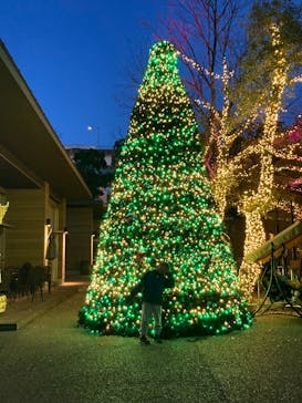 レゴランドⓇ・ジャパン・リゾートに投稿された画像（2024/12/22）