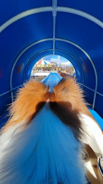 伊豆ぐらんぱる公園に投稿された画像（2024/12/22）