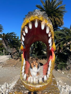 伊豆ぐらんぱる公園に投稿された画像（2024/12/22）